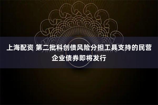上海配资 第二批科创债风险分担工具支持的民营企业债券即将发行