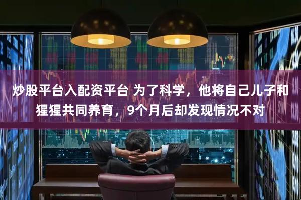 炒股平台入配资平台 为了科学，他将自己儿子和猩猩共同养育，9个月后却发现情况不对
